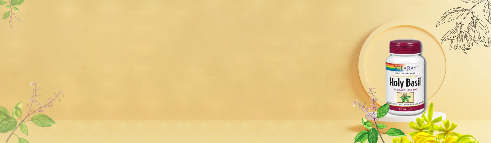 noni-banner.jpg